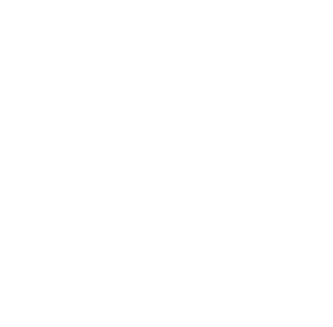 logo LMP blanc simple